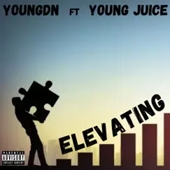 Elevating (feat. Young Juice) - Single by YoungDN album reviews, ratings, credits