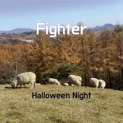 Fighter Song Lyrics