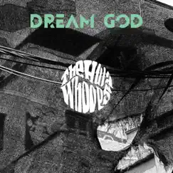 Dream God (feat. Hatmaker & kokoschinski) Song Lyrics
