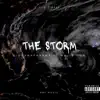 The Storm (feat. Najie Dun) [Radio Edit] - Single album lyrics, reviews, download