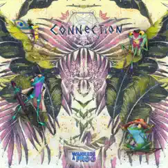 Connection (feat. The Frog Collective) [The Soul Brothers Remix] Song Lyrics