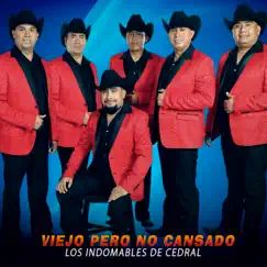 Viejo Pero No Cansado - Single by Los Indomables De Cedral album reviews, ratings, credits