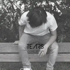 Tears - Single by Jannik Woelki album reviews, ratings, credits
