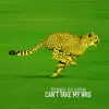Can't Take My Nrg (Dub Version) - Single album lyrics, reviews, download