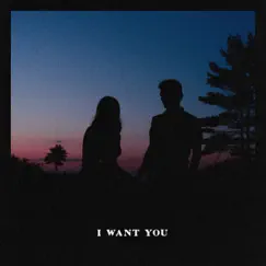 I Want You - Single by Ivan B album reviews, ratings, credits