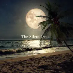 Homecoming - Single by The Silent Ocean album reviews, ratings, credits