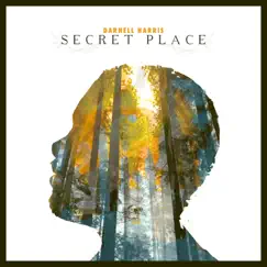 Secret Place (feat. Harmonie Reddick) Song Lyrics