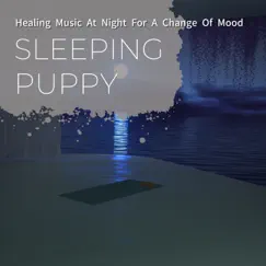 Healing Music at Night for a Change of Mood by Sleeping Puppy album reviews, ratings, credits