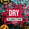 Dry (feat. Riggz) - Single album lyrics, reviews, download