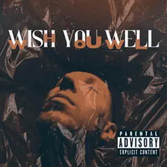 Wish You Well - Single by Skyodi album reviews, ratings, credits