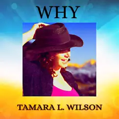 Why (feat. Joey Stuckey) - Single by Tamara L. Wilson album reviews, ratings, credits