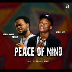 Peace of Mind (feat. Revoluxon Rocky) - Single by Waplife album reviews, ratings, credits