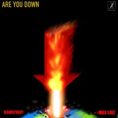 Are You Down (Clean Version) Song Lyrics