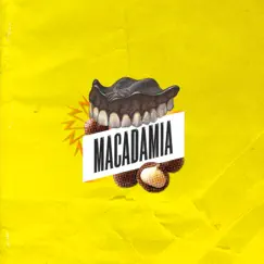 Macadamia by Macadamia album reviews, ratings, credits