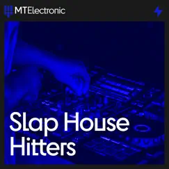 Slap House Hitters by Media Tracks album reviews, ratings, credits