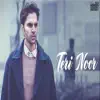 Teri Noor - Single album lyrics, reviews, download