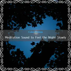 Meditation Sound to Feel the Night Slowly by Calm Strings album reviews, ratings, credits