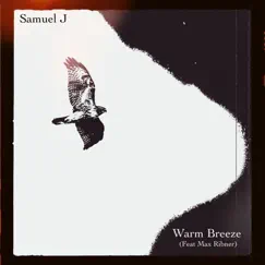 Warm Breeze (feat. Max Ribner) Song Lyrics