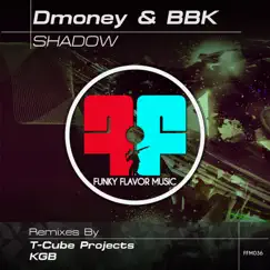 Shadow (T-cube Projects Remix) [feat. Tcube Projects] [T-cube Projects] Song Lyrics