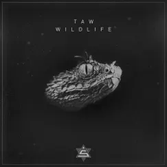 Wildlife - Single by Taw album reviews, ratings, credits