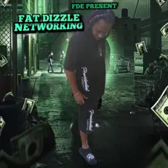 NetWorking by Fat Dizzle album reviews, ratings, credits