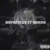 Hopefully It Burns (feat. DT Kompozer, KaiXenon & Joslynn Cortes) - Single album lyrics, reviews, download