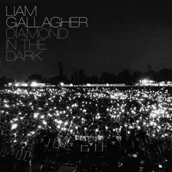 Diamond In The Dark - Single by Liam Gallagher album reviews, ratings, credits