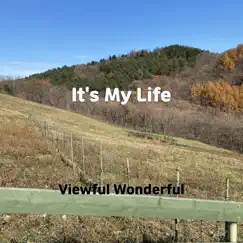It's My Life - Single by Viewful Wonderful album reviews, ratings, credits