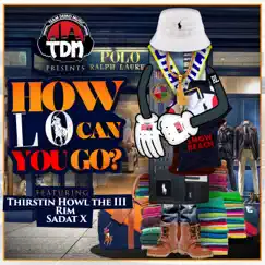 How Lo Can You Go (feat. Sadat X, RIM & Thirstin Howl the 3rd) - Single by Team Demo album reviews, ratings, credits
