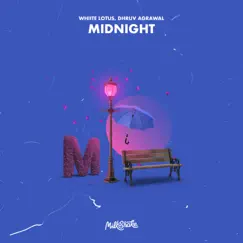 Midnight - Single by Whiite Lotus & Dhruv Agrawal album reviews, ratings, credits