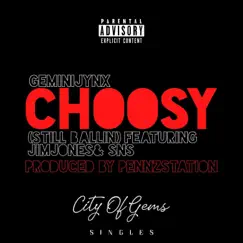 Choosy (Still Ballin) (feat. Jim Jones & SNS) Song Lyrics