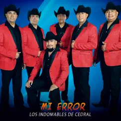 Mi Error - Single by Los Indomables De Cedral album reviews, ratings, credits