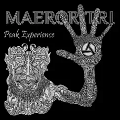 Peak Experience by Maeror Tri album reviews, ratings, credits
