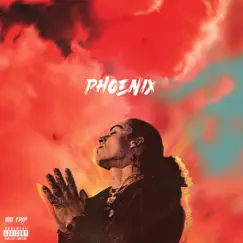 Phoenix Song Lyrics