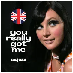 You Really Got Me - Single by MrJuan album reviews, ratings, credits