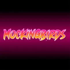 Mockingbirds - Single by VIZE album reviews, ratings, credits