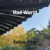 Mad World song lyrics
