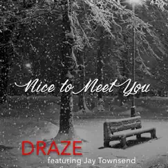 Nice to Meet You (feat. Jay Townsend) Song Lyrics