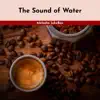 The Sound of Water album lyrics, reviews, download