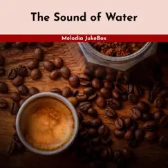 The Sound of Water by Melodia JukeBox album reviews, ratings, credits