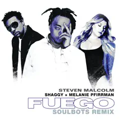 Fuego (The Soulbots Remix) - Single by Steven Malcolm, Shaggy & Melanie Pfirrman album reviews, ratings, credits