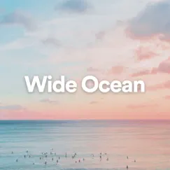 Wide Ocean by Calm Sea Sounds, Water Soundscapes & Ocean Therapy album reviews, ratings, credits