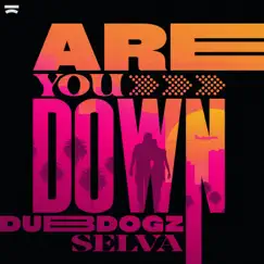 Are You Down - Single by Dubdogz & Selva album reviews, ratings, credits