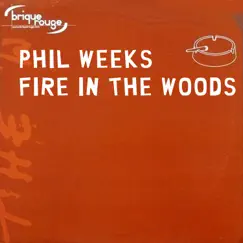 Fire in the Wood by Phil Weeks, David Duriez & Spettro album reviews, ratings, credits