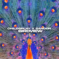 Birdview - Single by Childsplay & Sandor album reviews, ratings, credits