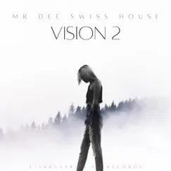 Vision 2 by Mr Dee Swiss House album reviews, ratings, credits