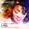 I Feel (The David Morales Remixes) album lyrics, reviews, download