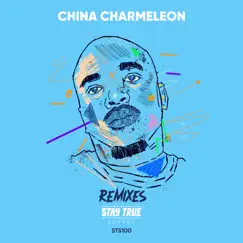 Sad To Think (China Charmeleon The Animal Remix) Song Lyrics
