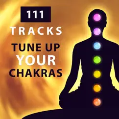 Celestial Yoga Relaxation Song Lyrics