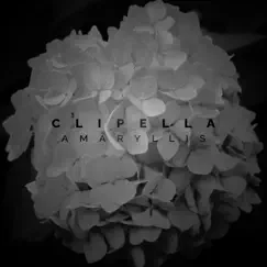 Amaryllis - Single by CLIPELLA album reviews, ratings, credits